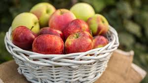 Äpfel aus dem Garten